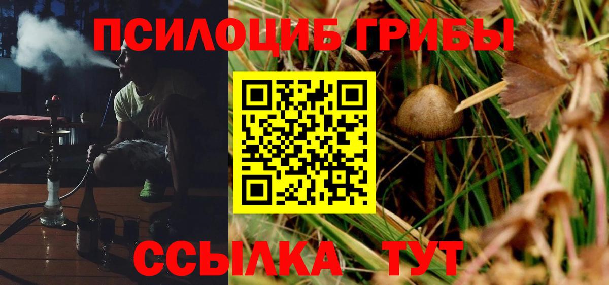 Галлюциногенные грибы мицелий Вичуга